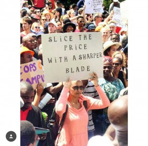 Student holding up a sign criticizing Blade Nzimande, Minister of Higher Education and Training in South Africa       Photograph by: Renata Bossi 