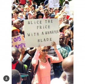 Student holding up a sign criticizing Blade Nzimande, Minister of Higher Education and Training in South Africa Photograph by: Renata Bossi